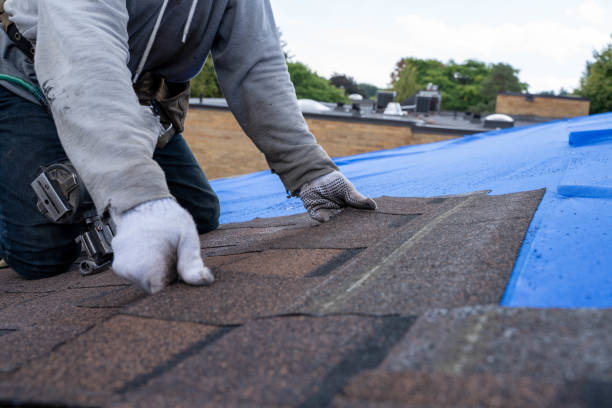 Roof Waterproofing Services in Marine, IL