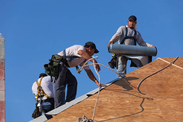 Best Roof Inspection Near Me  in Marine, IL