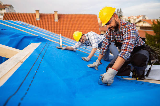 Best Storm Damage Roof Repair  in Marine, IL