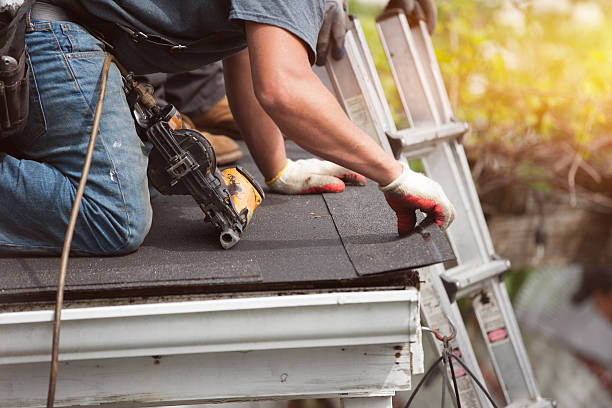 Best Flat Roof Repair Services  in Marine, IL